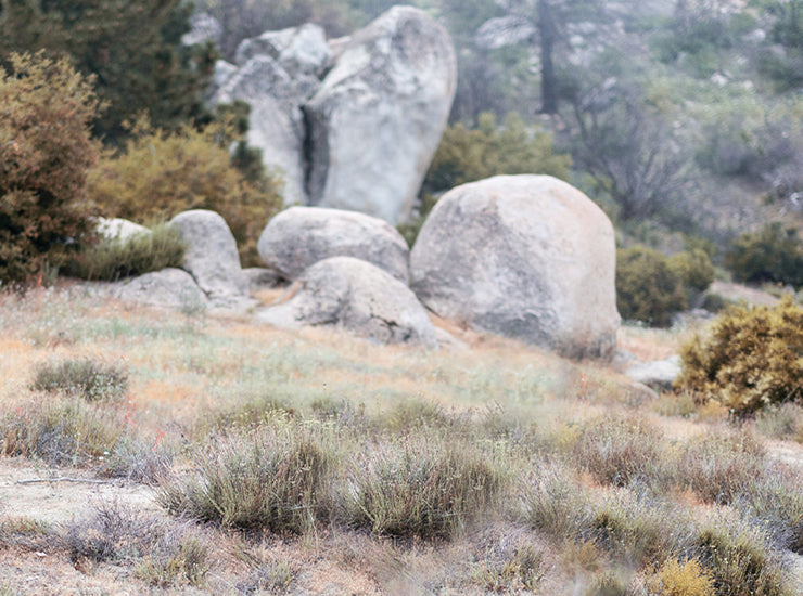 A Holiday Message From Our CEO, Joe Kudla